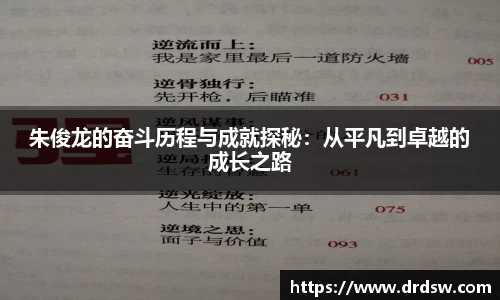 熊猫体育